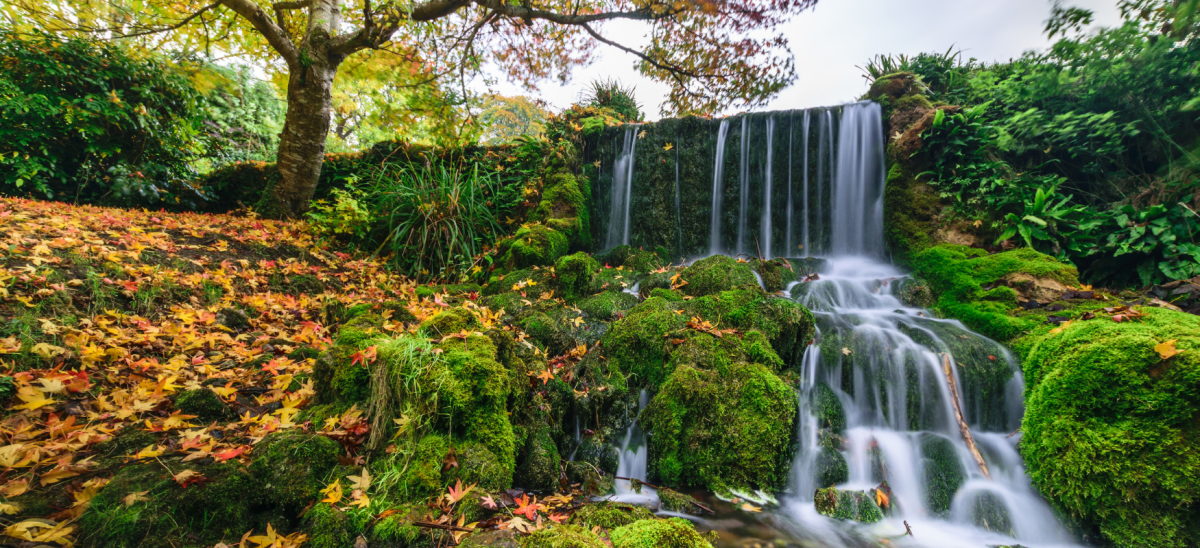 Waterfall at Little Bredy during the autumn