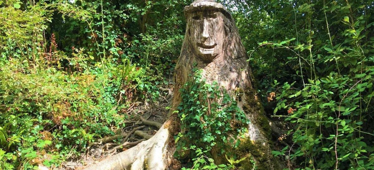 A tree stump with a smiling face carved into it along the North Dorset Trail