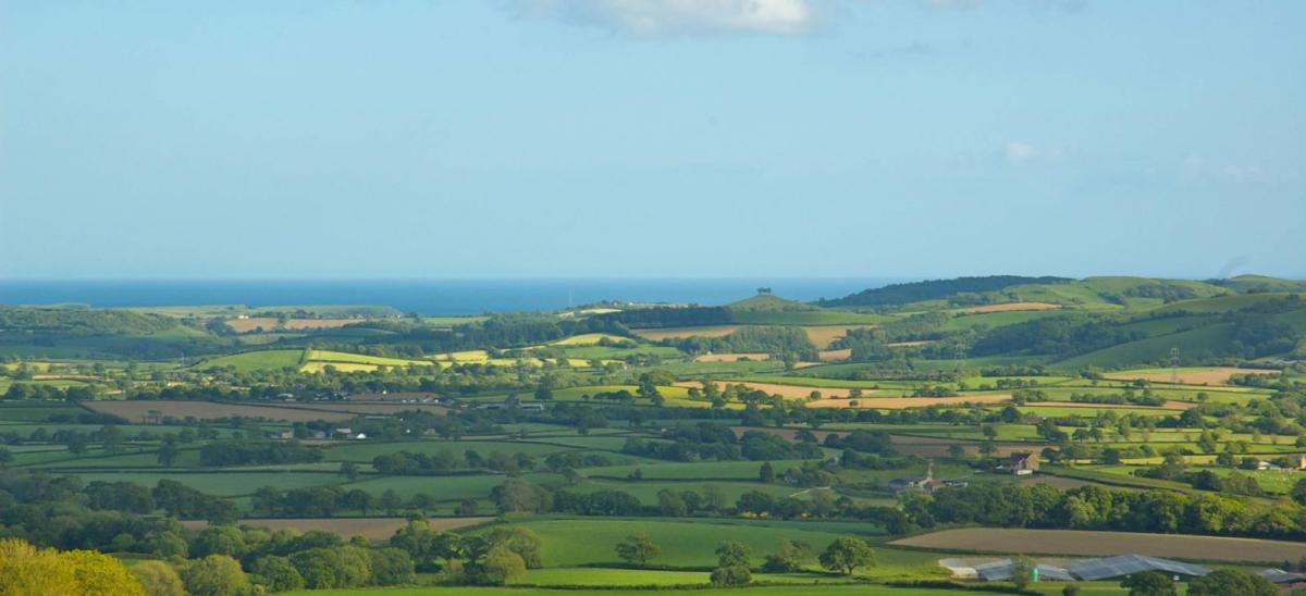 View over the Dorset countryside from Pilsdon Pen, Dorset