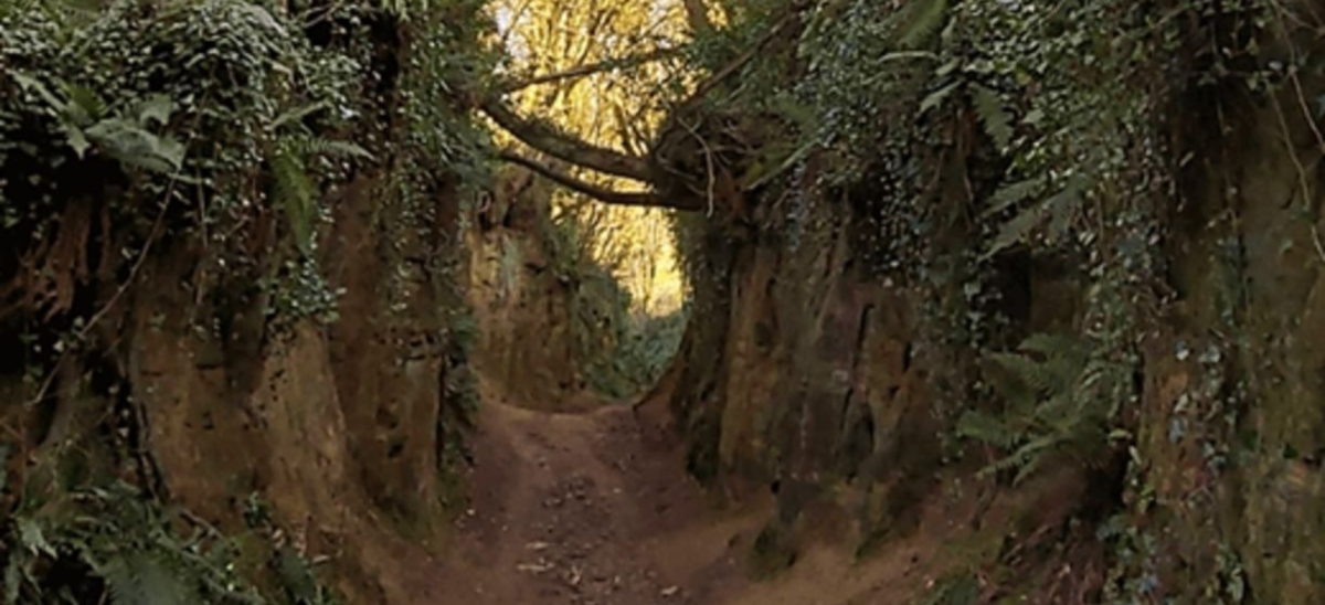 Hell Lane Holloway Symondsbury