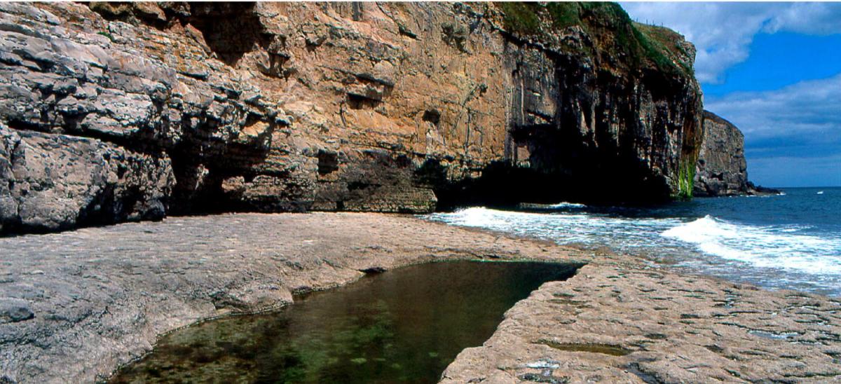 Dancing Ledge near Langton Matravers, Dorset