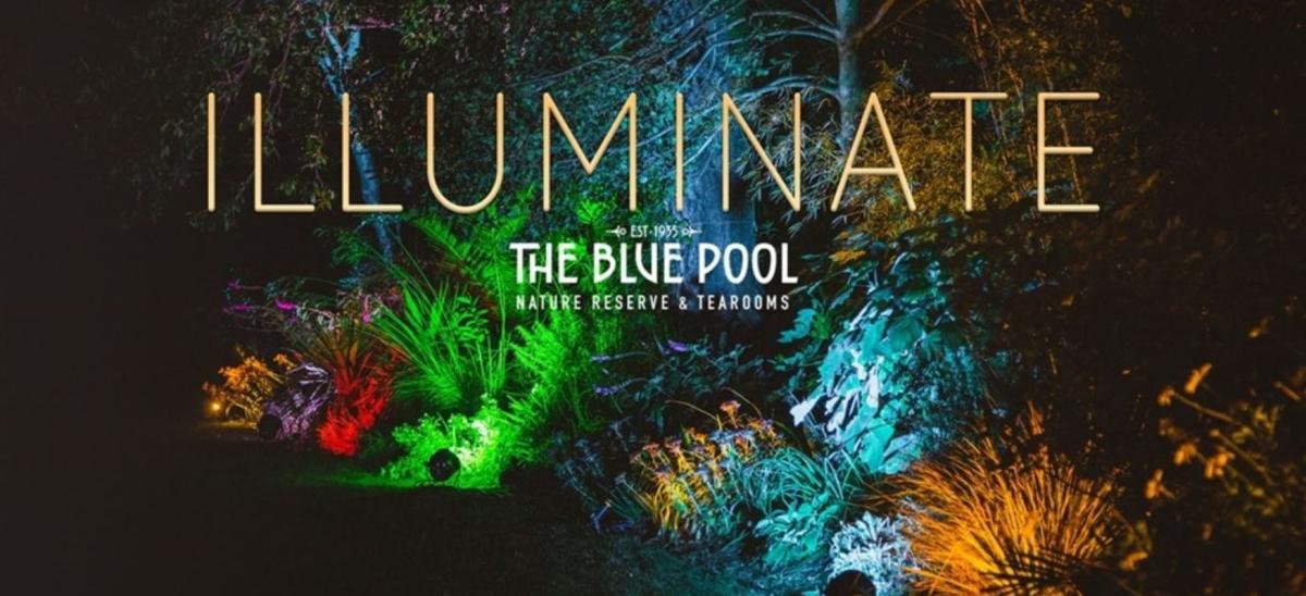 Illuminate event at the Blue Pool