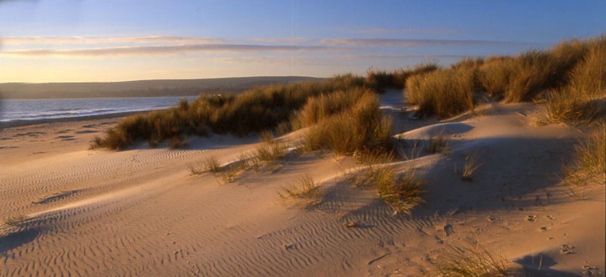 Sand dunes at Shell Bay, Studland