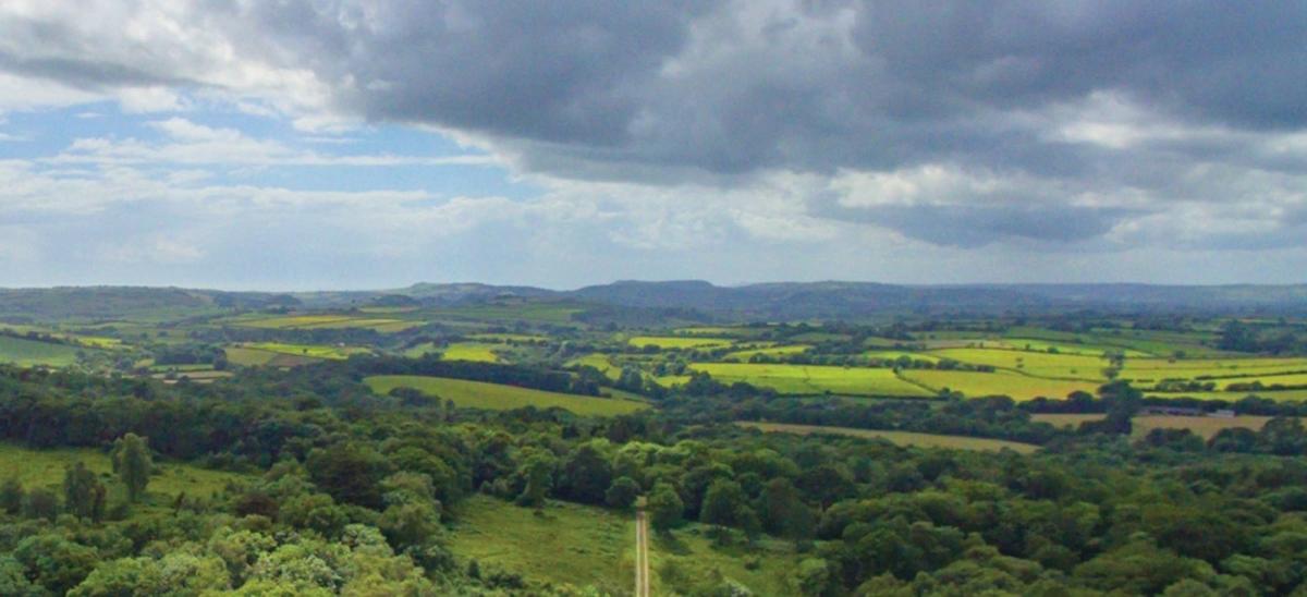 Powerstock Common. Photo copyright Dorset Wildlife Trust