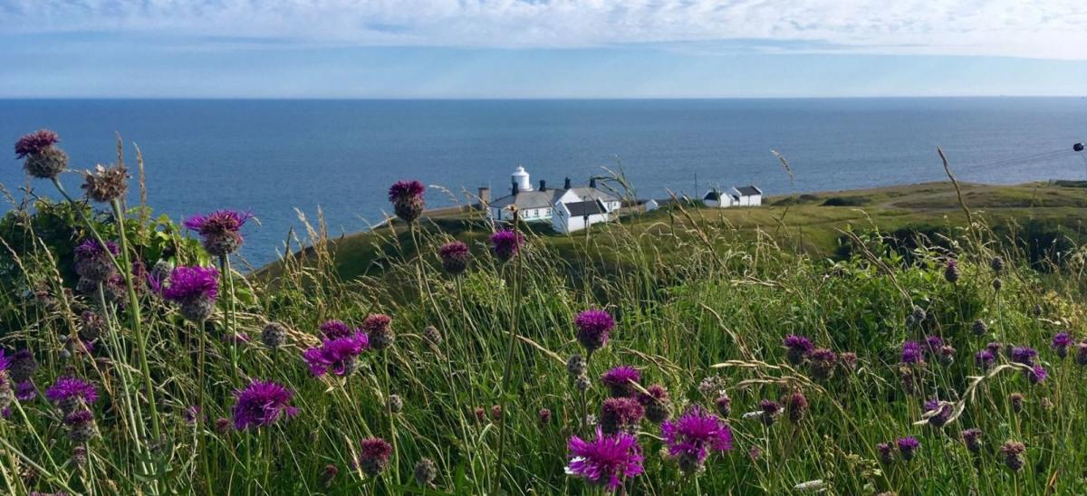 Anvil Lighthouse and Durlston Country Park in Dorset