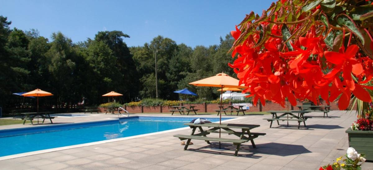 Outdoor swimming pool at Wareham Forest Tourist Park, Dorset