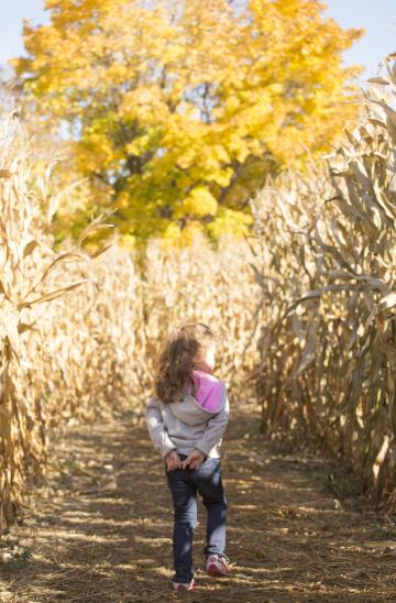 Hannah Stolling through the Corn Maze