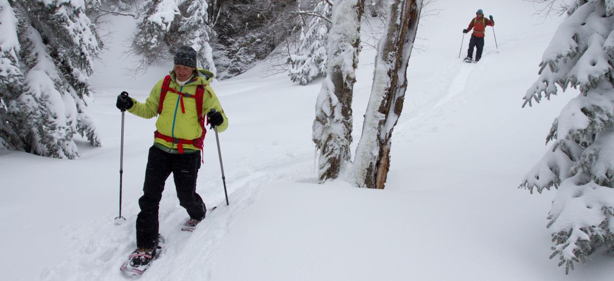 Snowshoeing