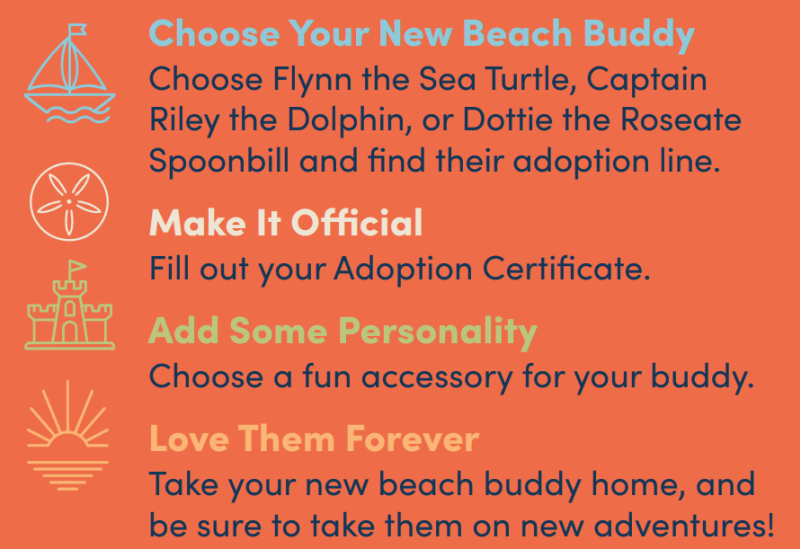 Beach Buddy