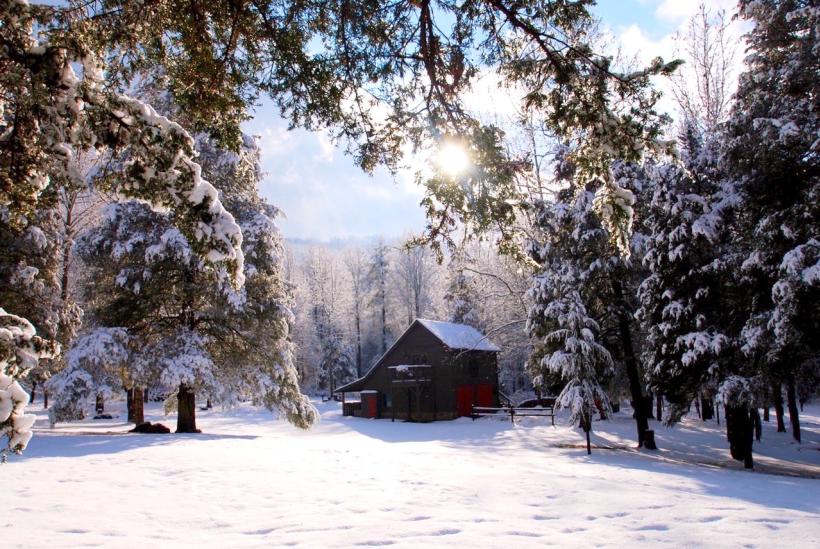 Cabin in the snow