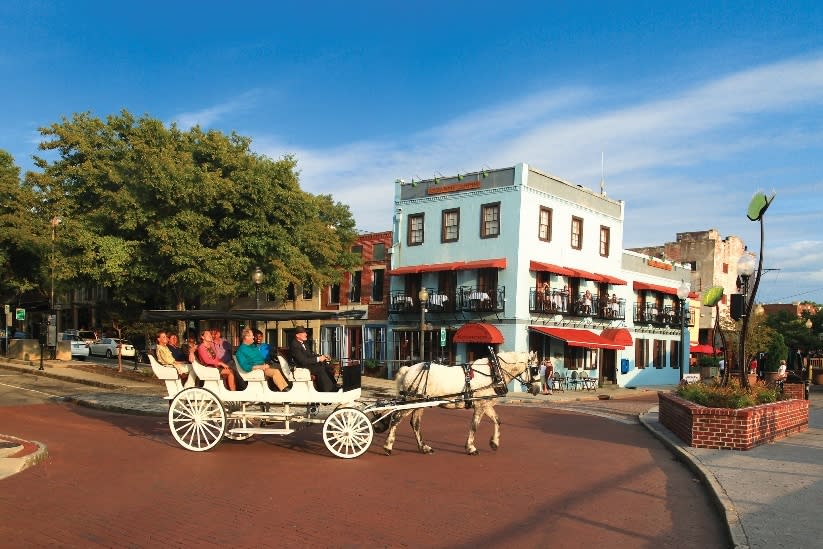Horse carriage ride in historic downtown Wilmington