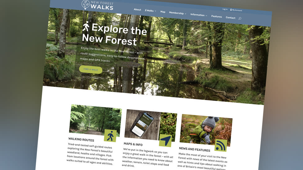 New Forest Walks Website