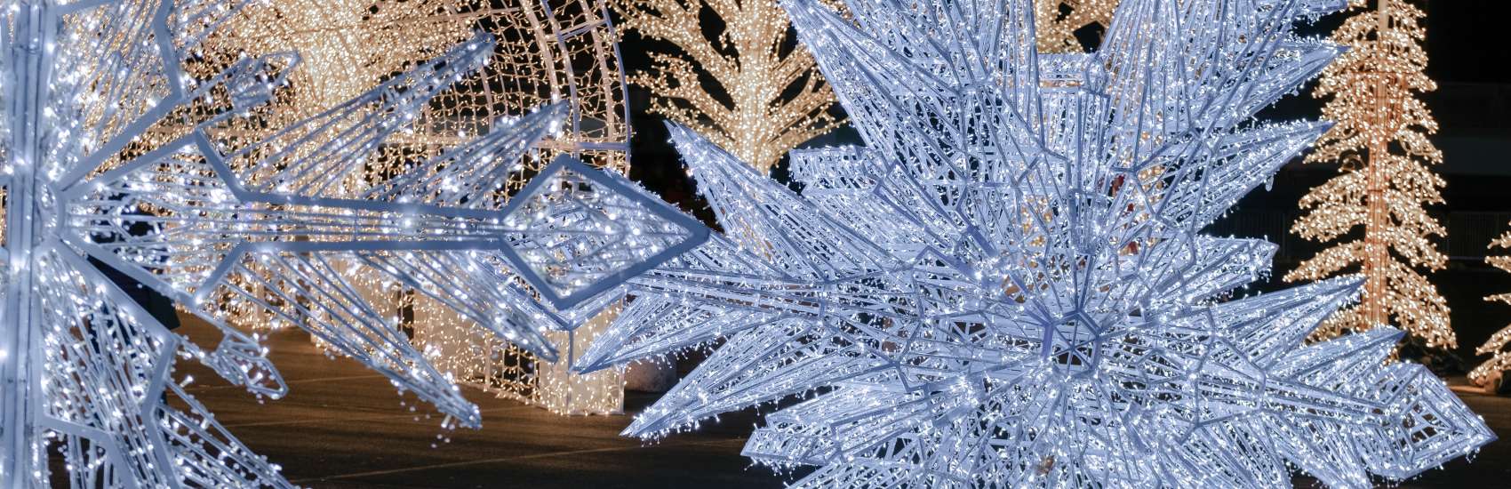 Christmas Events Beaumont Tx 2022 Holiday At Ford Park | Southeast Texas Lights Event