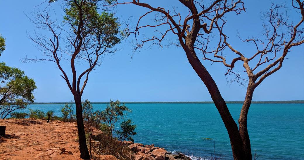 Trees on the Dampier Peninsula