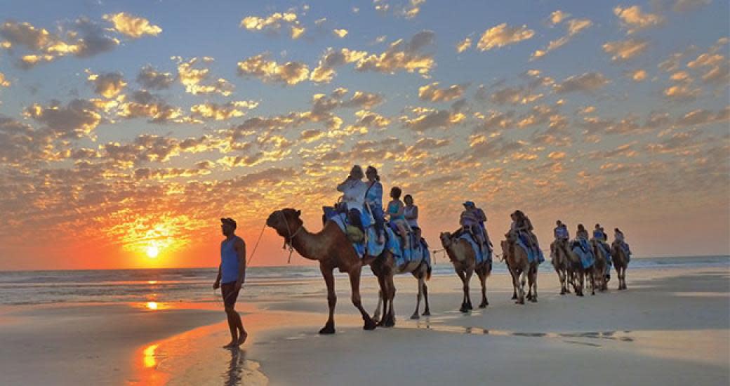 Kimberley Wild Expeditions 1/2 Day Broome Sights Tour