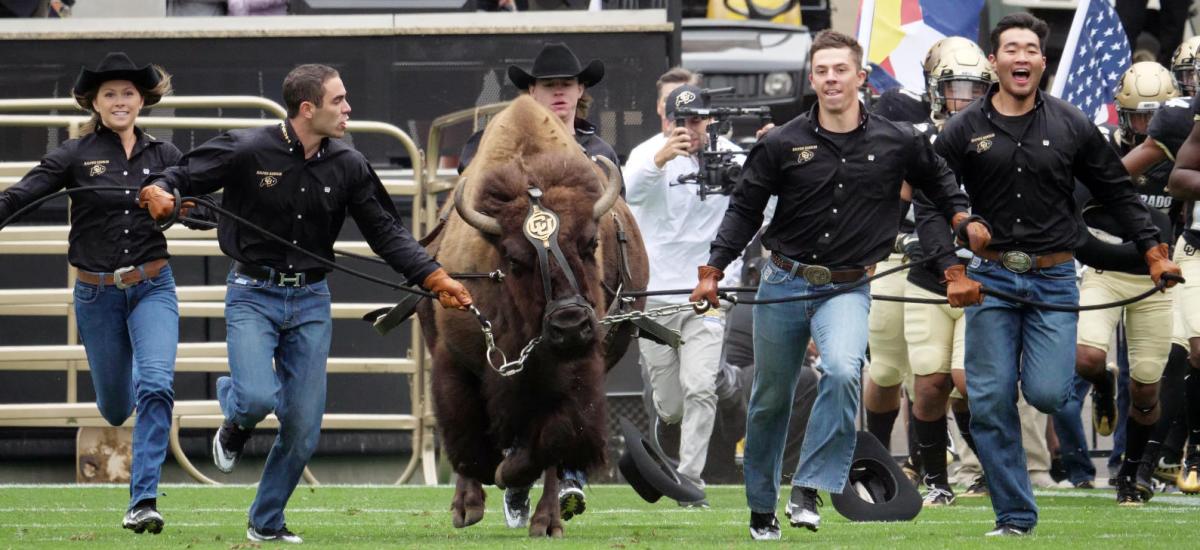 University of Colorado Boulder Football Game-Day Guide