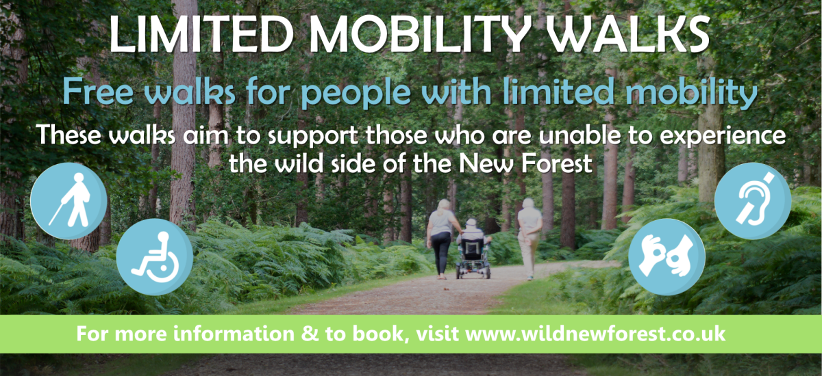 Limited mobility walks - no logo