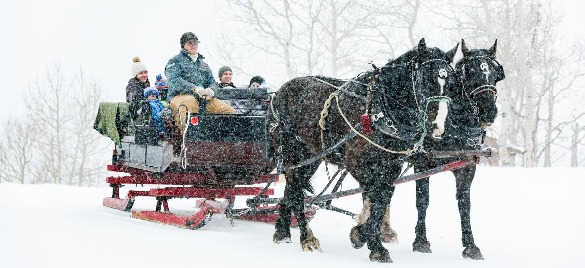 family sleigh rides near me