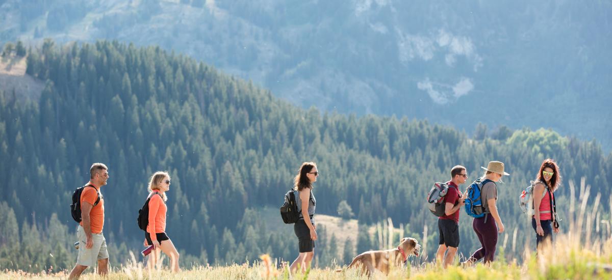 group of hikers with a dog from a distance