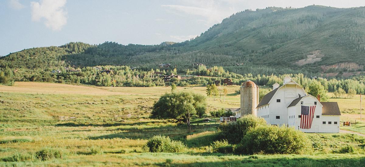 White Barn Header for 72 Hours Post