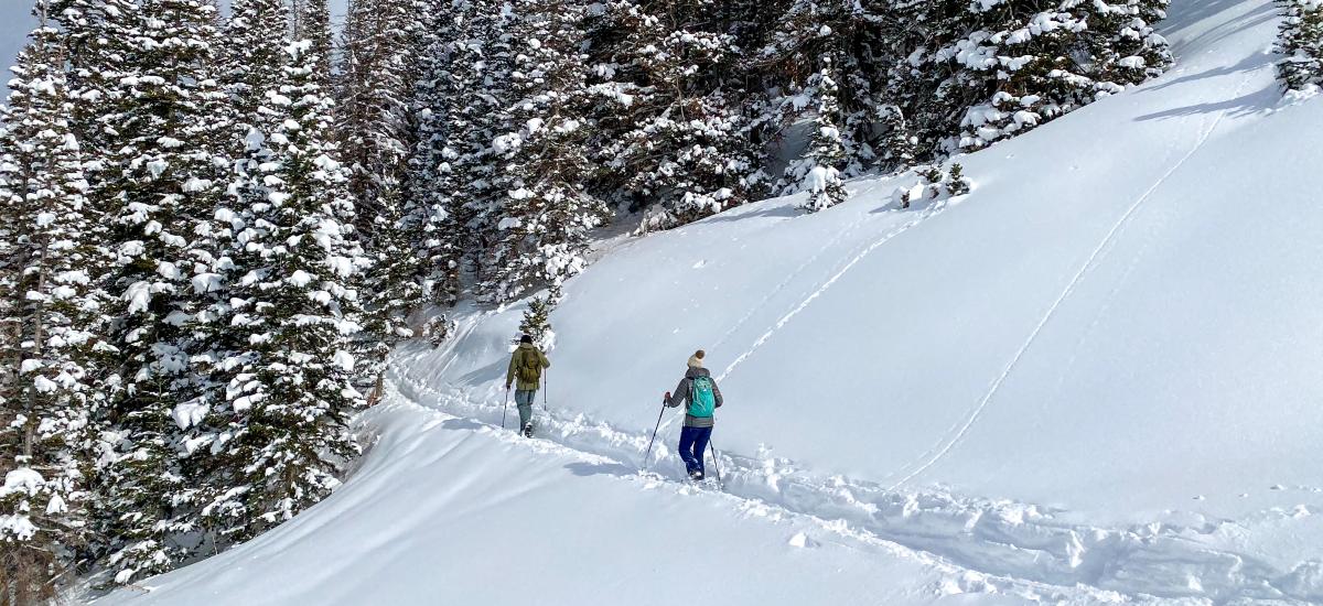 Two people entering forrest on snowshoe trail