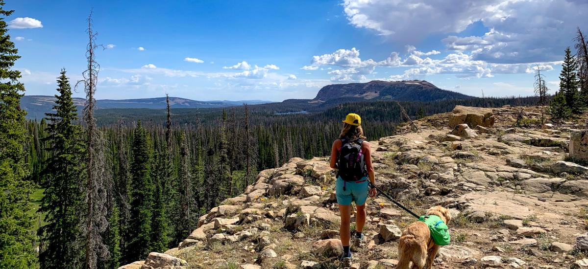 Woman hiking with dog along Three Divides Trail