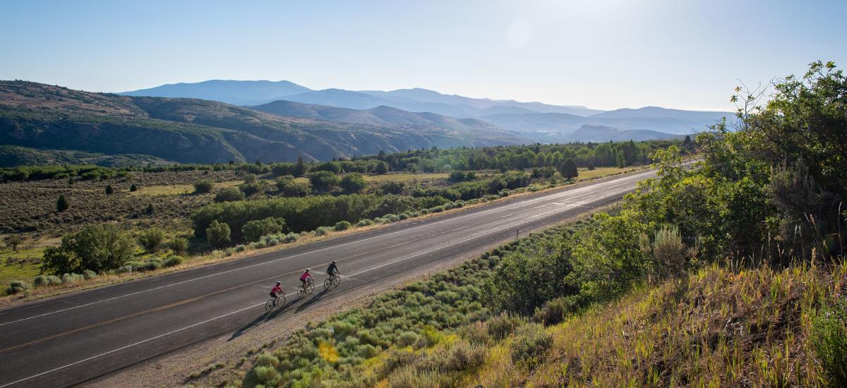 Three road cyclists on rural road on sunny day.