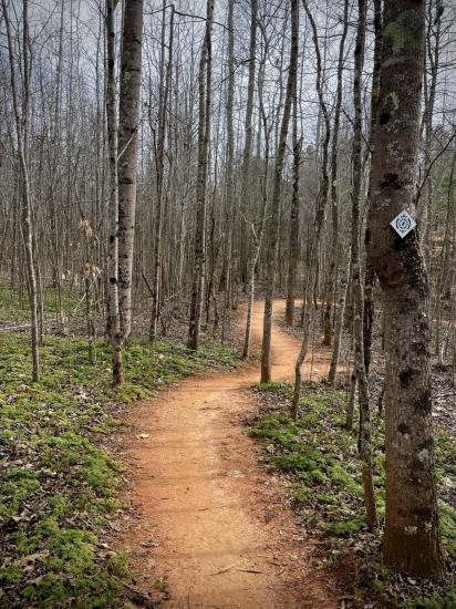 Carolina Thread Trail