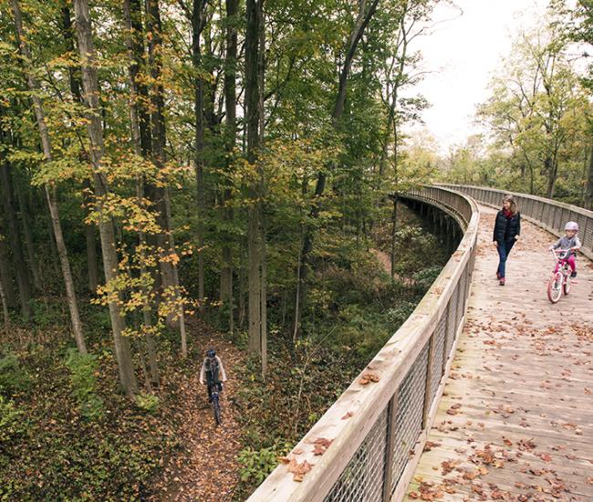 Flat Fork Creek Park