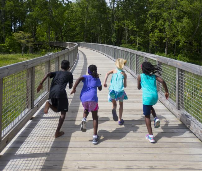 Flat Fork Creek Park