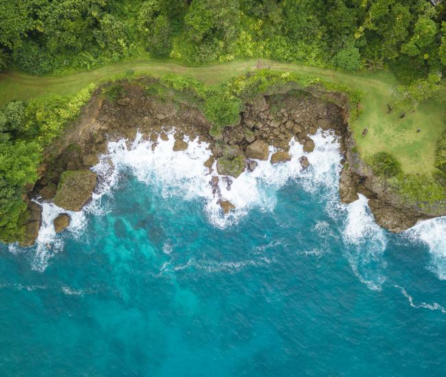 Cliffs at Frenchman’s Cove