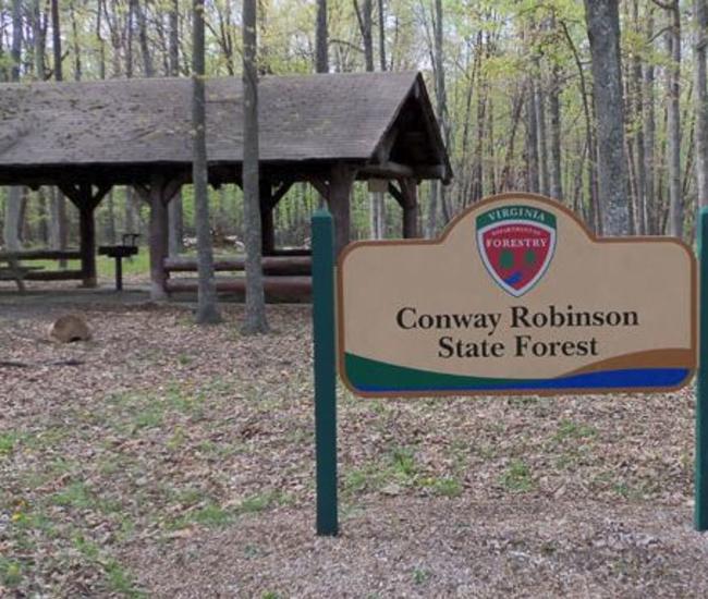 Conway Robinson State Forest picnic area