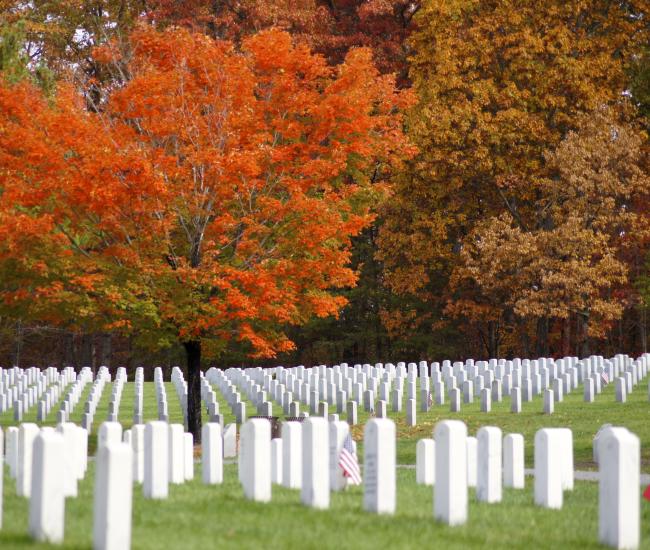 A cemetery with matching white headstones in lines, there are trees with fall foliage in the background