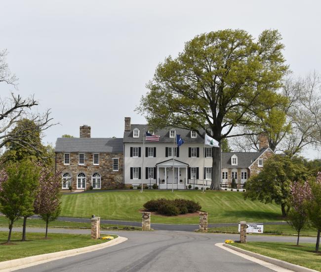 A driveway with trees lining it, leading to a white and cobblestone building.