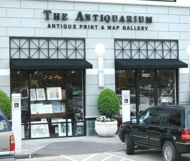 The Antiquarium