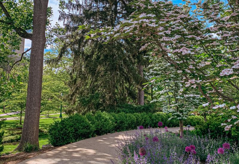 A path leading to IU's Conrad Presbys Amphitheater  lined with beautiful spring flowers and fresh blooms