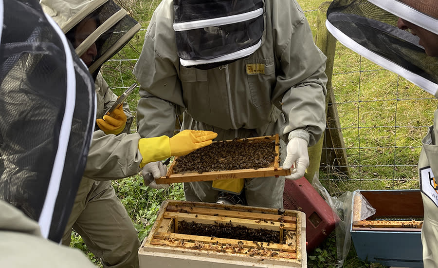 Bee keeping course at Notgrove with Harry's Honey