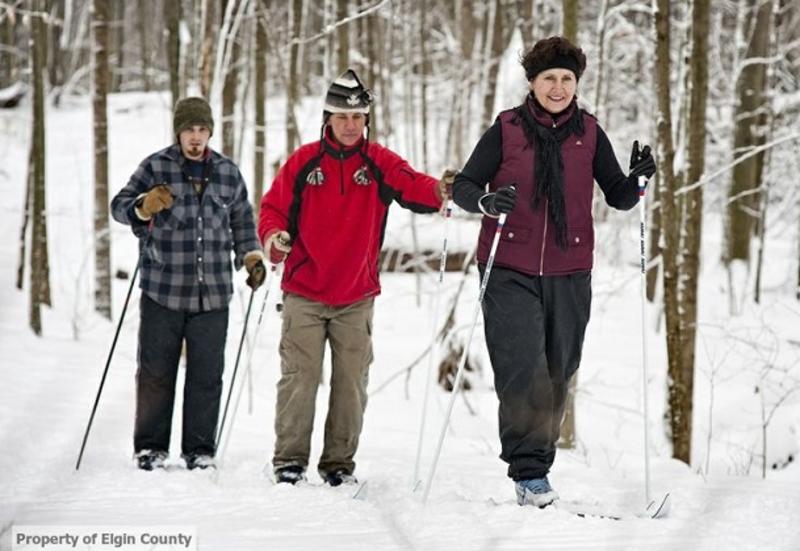 group cross-country skiing
