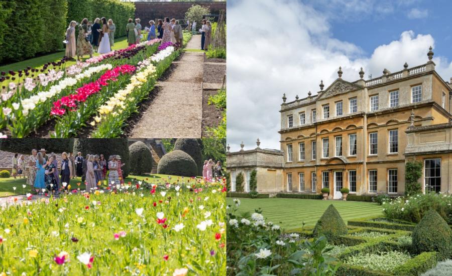 Three images: one image showing lines of tulips in bloom, one of wildflowers and the third showing Badminton house with formal garden infront