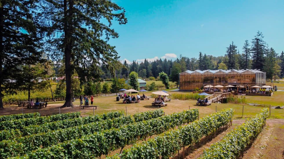 Luxury Fraser Valley Estate Winery Experience