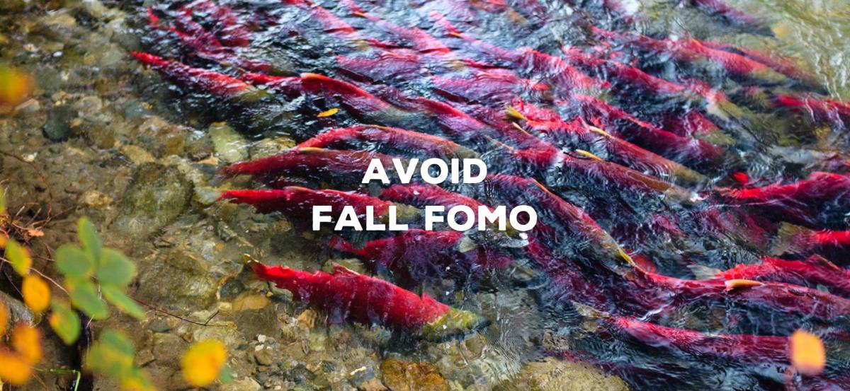 Fall campaign salmon run header