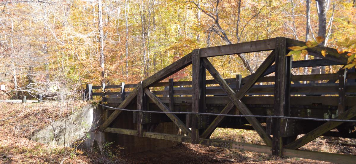 scenic road trip in the fall - Prince William Forest Park