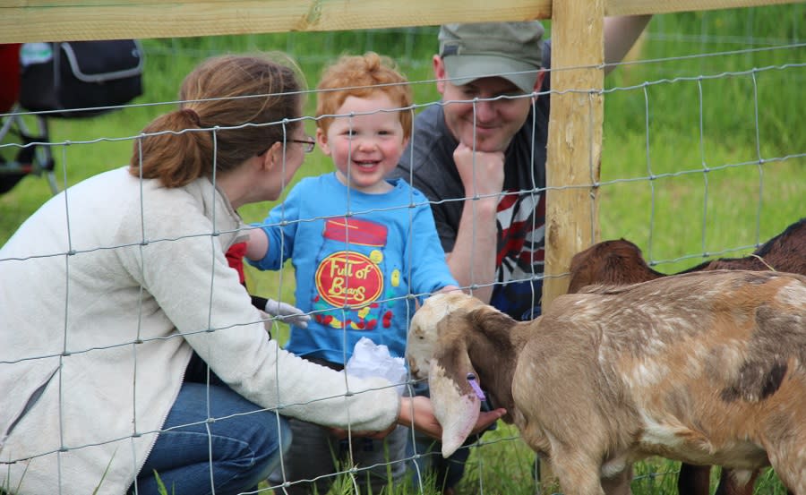 Fairytale Farm