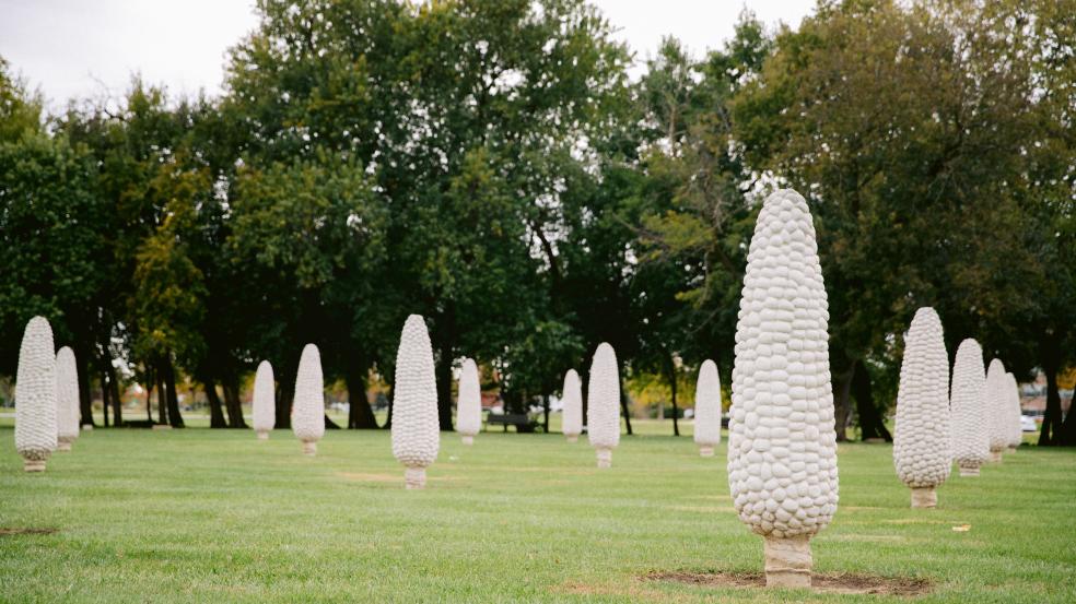 Rows of giant concrete corn sculptures in a field