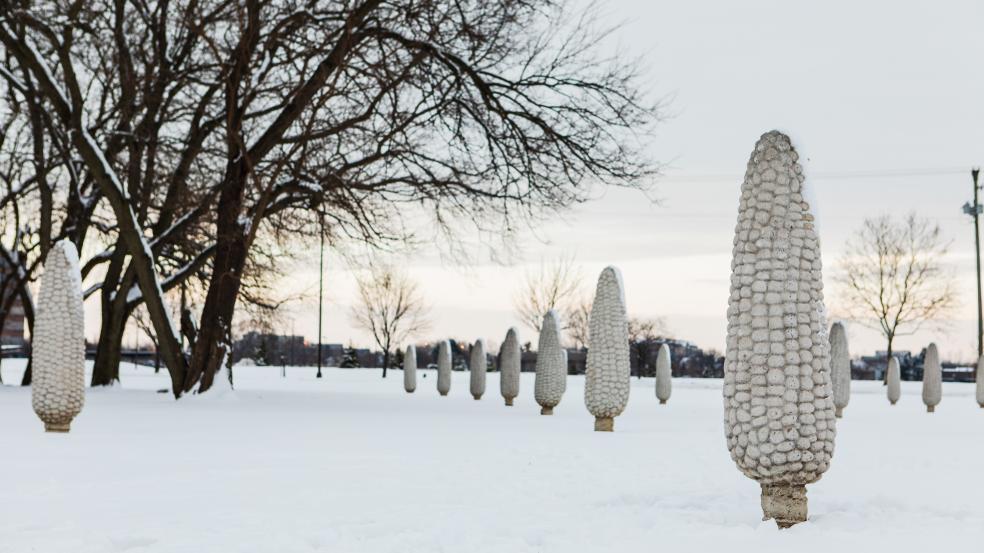 Field of Corn public art installation in the snow