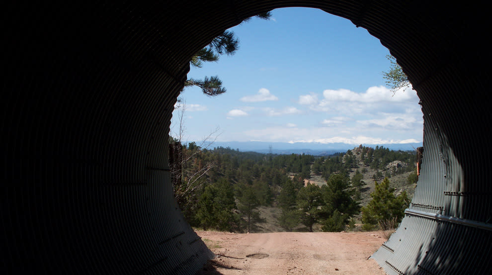 View of the Mummy Range