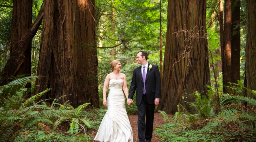 Bride and Groom in the Redwoods