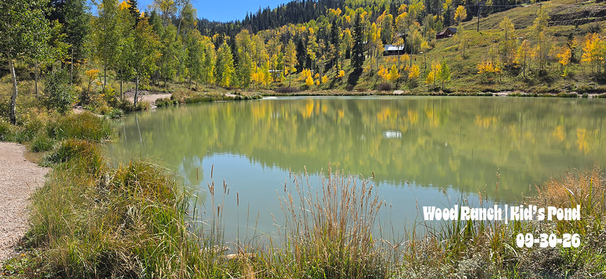 Wood Ranch | Kids Pond | 2026