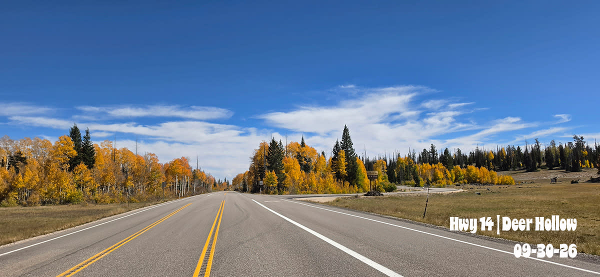 Hwy 14 | Deer Hollow | 2026