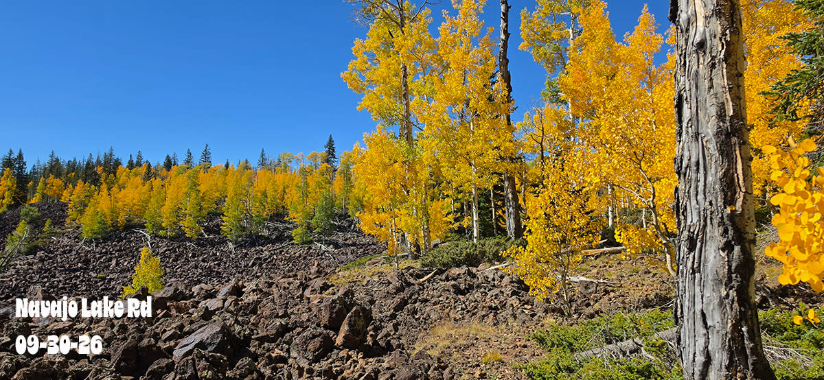 Navajo Lake | Lava Flow | 2026